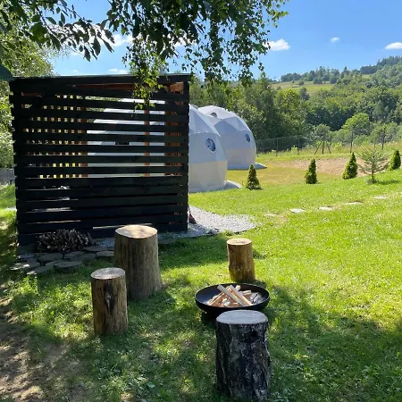 Poziom 713 * Trzebunia