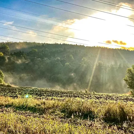 Poziom 713 Trzebunia