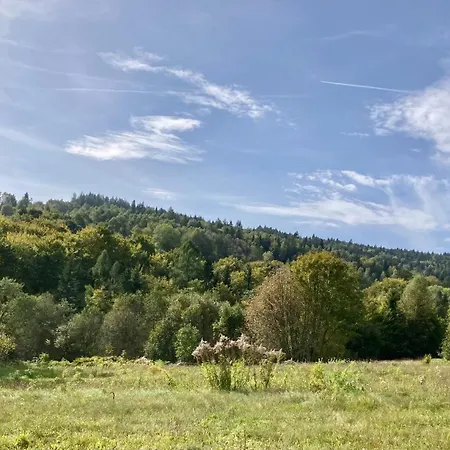 Poziom 713 Trzebunia